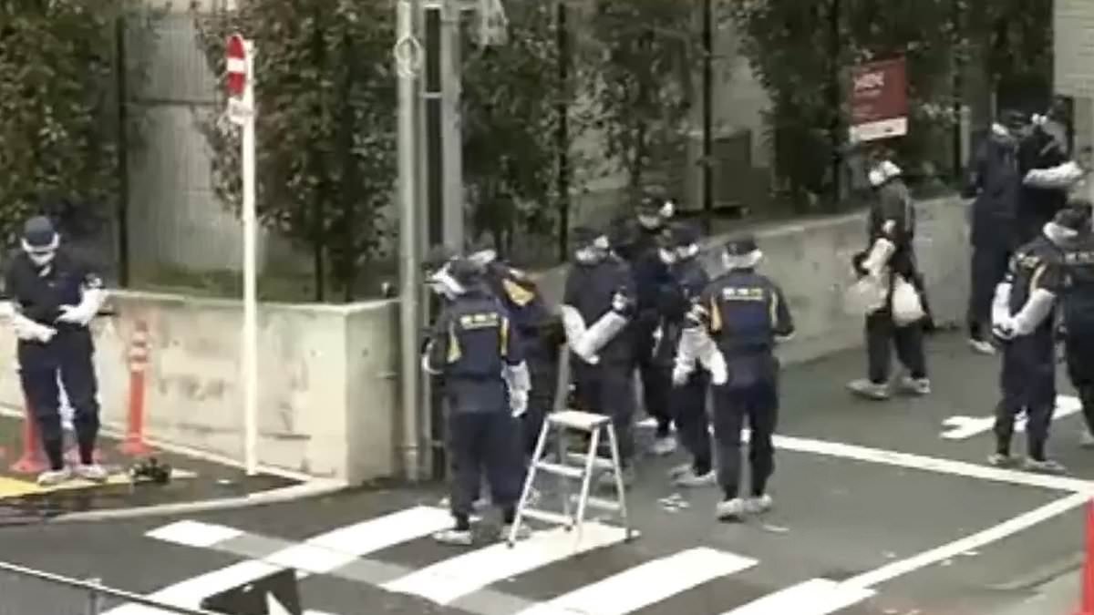 Woman, 22, is hacked to death by crazed stranger while livestreaming her walk through streets of Tokyo to thousands of people