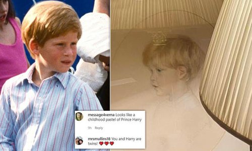 Fans gush over Princess Diana's brother's resemblance to a young Harry