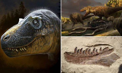 The original King of the Dinosaurs! 'Frightful' tyrannosaur with HORNS around its eyes roamed North America 76 million years ago – and was an ancient ancestor of T.rex