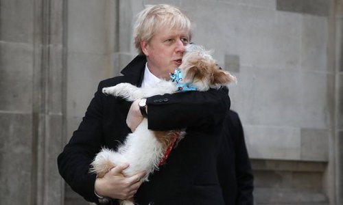 Boris Johnson was convinced his dog Dilyn caught Covid and consulted the UK's top scientists about getting him a human antibody test