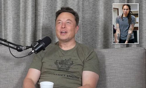 'Shouldn't we free people in America?' Elon Musk wades into Brittney Griner prisoner swap efforts by saying Biden should release anyone jailed for weed-related offenses in the US too