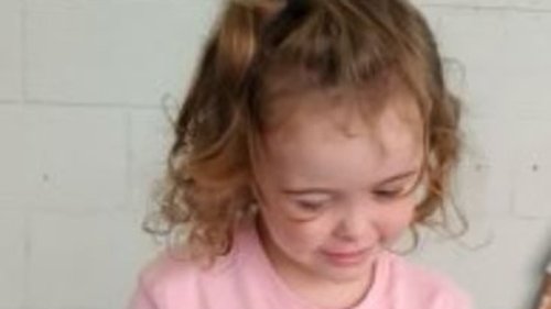 Miranda, Sydney: Urgent search is launched for missing Bailey Wolf, aged two, who vanished yesterday