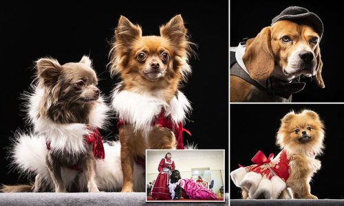 Dogs dress in Victorian outfits for Christmas Dog Pageant in Yorkshire