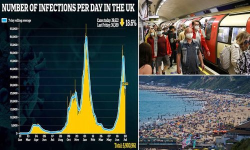 Modellers warned cases could soar to '1m per week' ahead of July 19