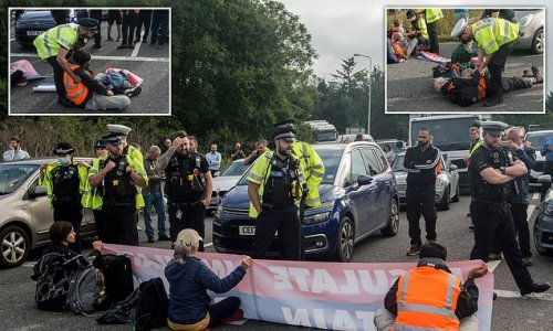 Shameless eco-warrior teacher, 31, has been arrested THREE times