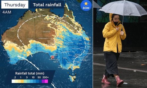 Misery for thousands of Aussies as EIGHTY flights are cancelled from Sydney Airport with dozens more affected across the country as wild weather sparks travel chaos