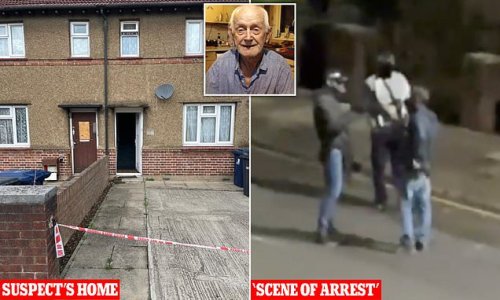 Armed police in '30-minute stand-off with mobility scooter murder suspect': Moment cops arrest man, 44, accused of stabbing to death 87-year-old busker who had been raising cash for Ukraine war victims outside Tesco