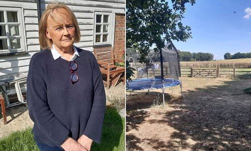 Grandmother who won legal battle against neighbour to stop plans for 18 holiday homes in his back garden submits plans to build four lets of her own