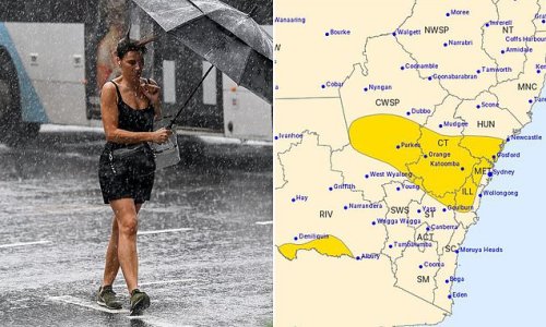 Emergency warning for residents of heavily populated regions of NSW to get their cars undercover NOW - with a severe thunderstorm set to strike