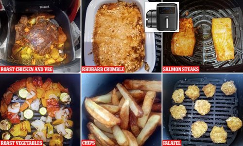 Can you REALLY feed a family using an air fryer? FEMAIL puts the new energy-saving kitchen must-have to the test on everything from a roast to a crumble... with very surprising results