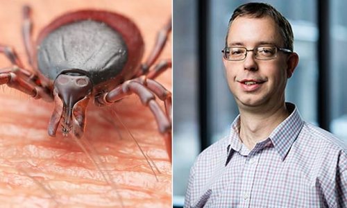 Expert warns that the prevalence of ticks in America is growing and that MILLIONS are bitten by the critters every year - but contraction of Lyme disease and other infections are rare