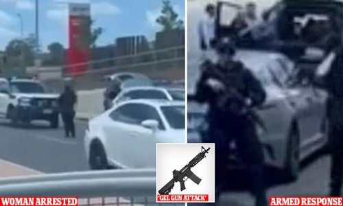 Chaos on the M1 Motorway as a woman, 27, allegedly opens fire on a car with a gelblaster