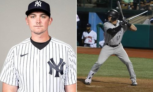 New York Yankees cut prospect Jake Sanford, 24, for 'stealing equipment from his teammates and trying to sell it online but never delivering the goods'