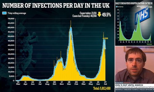 SAGE adviser warns Covid pandemic ISN'T all over 'quite yet'