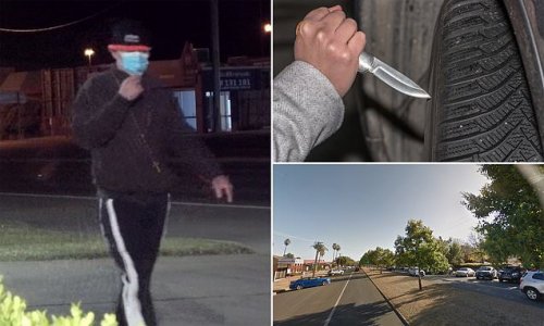Mystery man goes on car attack spree in Tamworth