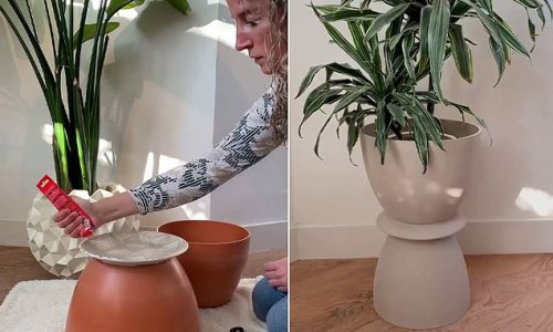 DIY enthusiast shares how to make a designer table using two pots and dinner plates: 'This is genius'