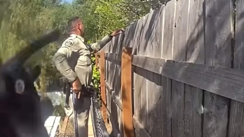 New bodycam reveals the shocking moment Weezer bassist's wife was shot by cops in her LA backyard