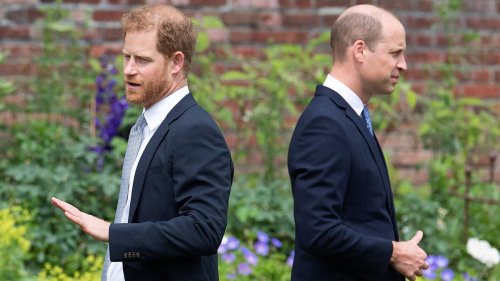 EPHRAIM HARDCASTLE: Could William and Harry be reunited at the Duke of Westminster's wedding?