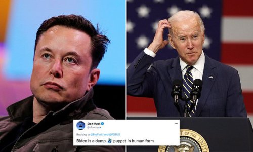 Elon Musk calls Biden a 'damp sock puppet' after snubbed WH invitation