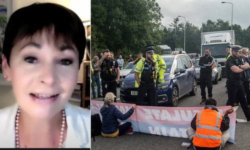 Fury as Green MP Caroline Lucas says M25 protest was 'reasonable'