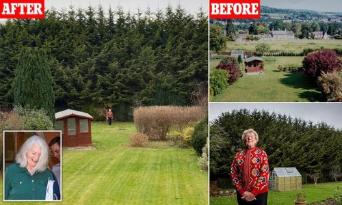 Woman locked in 20-year battle with neighbour over 50ft leylandii hedge that 'ruins' her countryside view admits defeat as council says it can't order her to chop them down because they don't block out enough sunlight