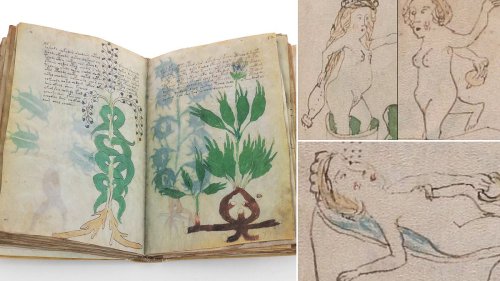 Has the world's most mysterious text finally been cracked? Experts claim 600-year-old Voynich...