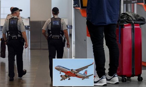 Jetstar pilot is stood down after shock discovery on his luggage on a flight from Bali