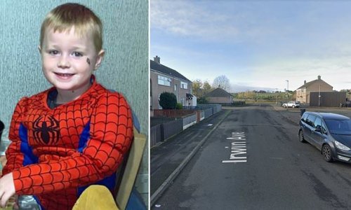 Boy, five, dies after he was hit by a van while riding his bike