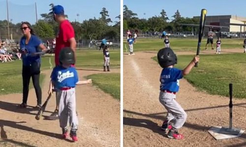 Tiny baseballer named Ben goes viral with his incredible dance moves at home plate as his team jokes: 'He's currently looking for an agent'