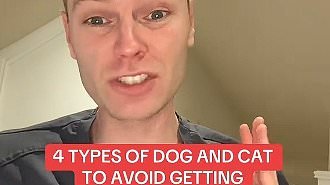 I'm a vet and here are 4 types of dogs and cats everyone should avoid getting