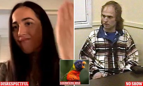 Covid court debacle: From squawking parrots to lunatics in capes