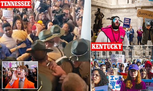 Gun control activists storm Tennessee State Capitol in Nashville after 'Trans Shaman' joined occupation of Kentucky legislature - as fears of a left-wing uprising loom ahead of Trans Day of Vengeance