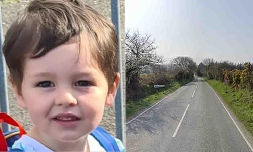 Boy, 4, who 'loved fire trucks and the colour blue' was found dead in a pond after disappearing while playing in sandpit near his home, inquest hears