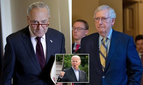 Senate pulls all-nighter with junk food, naps and a marathon vote-a-rama for $740billion reconciliation bill: Democrats might score a win for Biden despite criticism from Bernie Sanders and flood of Republican opposition