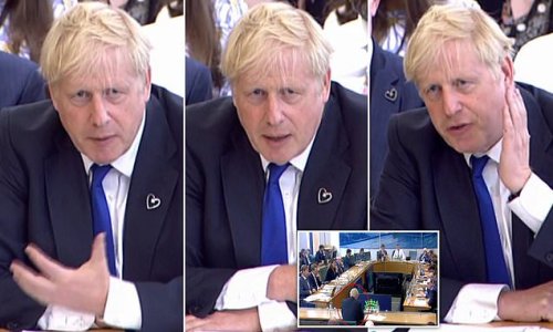 Hours of fist-chewing, eye-shielding brutality. Yet Boris Johnson the wounded beast battled on: HENRY DEEDES watches a nightmare unfolding for the Prime Minister