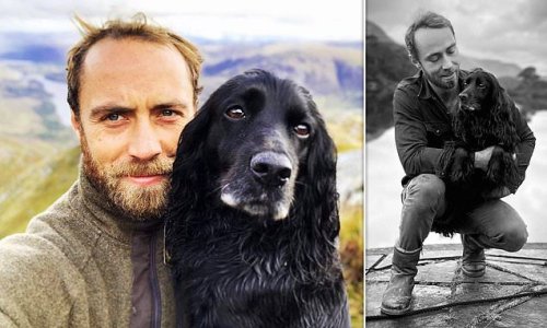 'Goodnight my darling': James Middleton announces the death of his 15-year-old therapy dog that he once credited with helping him 'overcome mental health struggles'