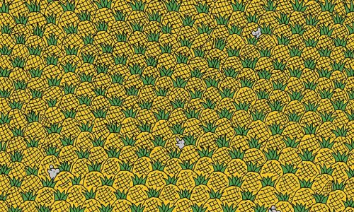 Can YOU spot the corn between the pineapples? Fruity seek-and-find puzzle will put your observation skills to the test