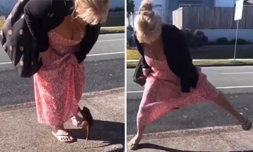 Incredible moment a very grateful possum leaps onto a woman's leg