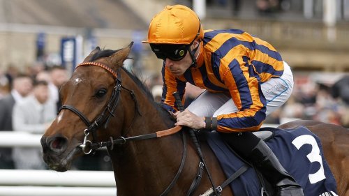 Robin Goodfellow's racing tips: Best bets for Friday, April 25