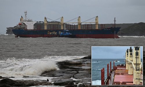 Mammoth cargo ship stranded in rough seas docks in Sydney after daring rescue mission - with all 21 crew safe and sound