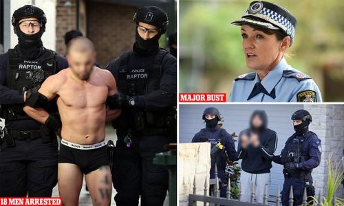 Bizarre twist in Sydney gang crackdown as police declare they've completely dismantled syndicate and 'cut the head off the snake' and courts free alleged members on bail