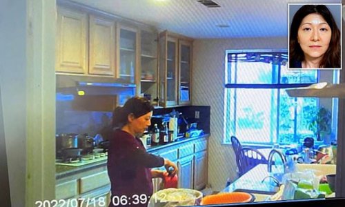 Radiologist husband's hidden 'Nanny cam' catches his dermatologist wife 'repeatedly spiking his lemonade with Drano' in kitchen of their $2.7m California mansion: She's arrested and released on $30,000 bond