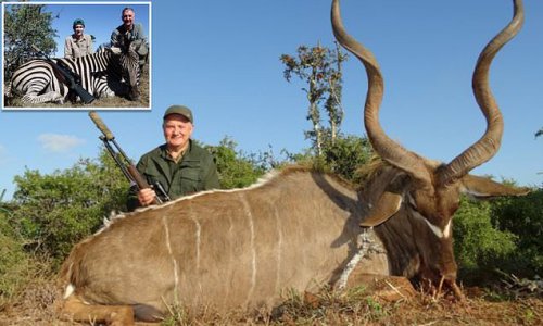 Trophy hunters kill every three minutes... and UK marksmen are among deadliest of all with some boasting of shooting monkeys and cats in trees for 'fun', report says