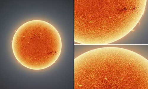Astrophotographer snaps his 'clearest ever photo of the SUN', revealing swirls and feather-type patterns on the solar surface