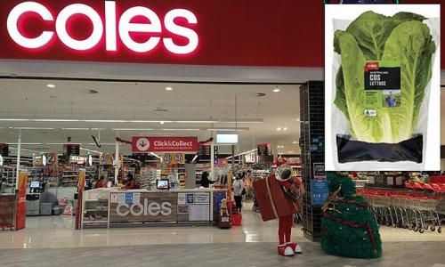 Coles shopper who SUED the supermarket after slipping on a LETTUCE LEAF in the aisles loses court battle despite claiming she 'suffered a whole person impairment'