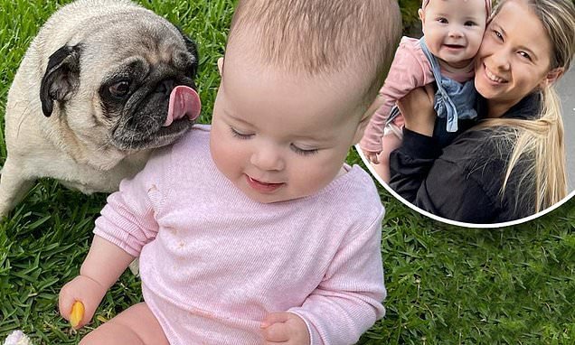 Best friends! Bindi Irwin shares an adorable picture of daughter Grace Warrior, seven months, eating mango with her pet dog Stella the pug