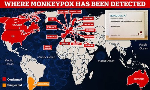 Europe's red alert for monkeypox: EU health chiefs tell nations to prepare vaccination strategies amid scramble to contain virus and warning of Covid-like travel restrictions