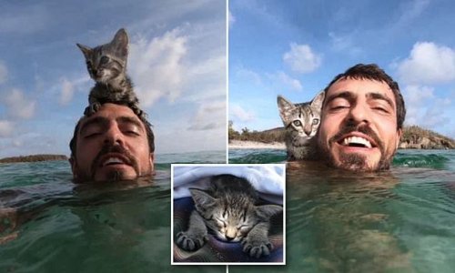 Man shares adorable image of his kitten following him into the OCEAN to swim