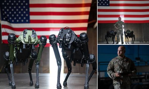 Robot dogs join the US Space Force: Ghost Robotics' $150,000 four-legged bots are being used to patrol the Cape Canaveral station