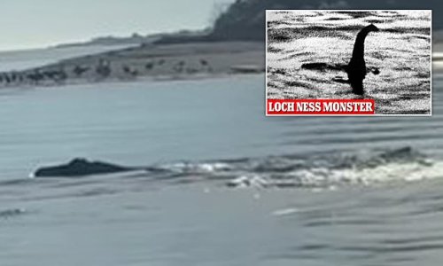 Has the Loch Ness Monster moved to North Carolina? Giant snake-like ...